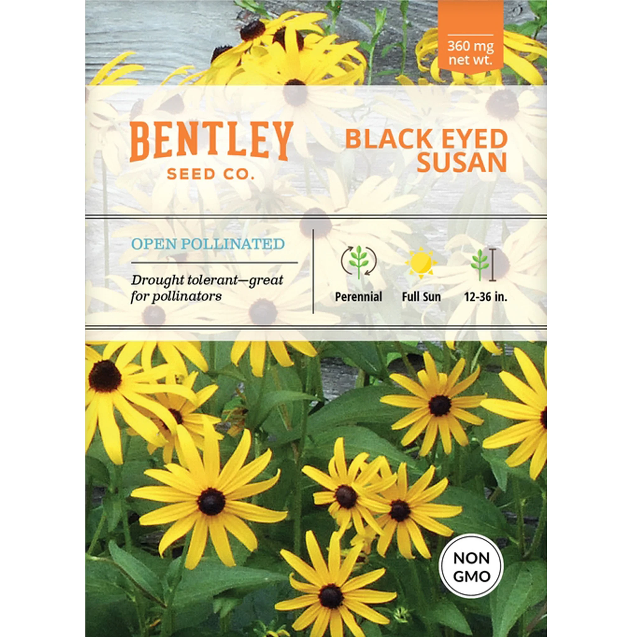 Black Eyed Susan Seeds Packet