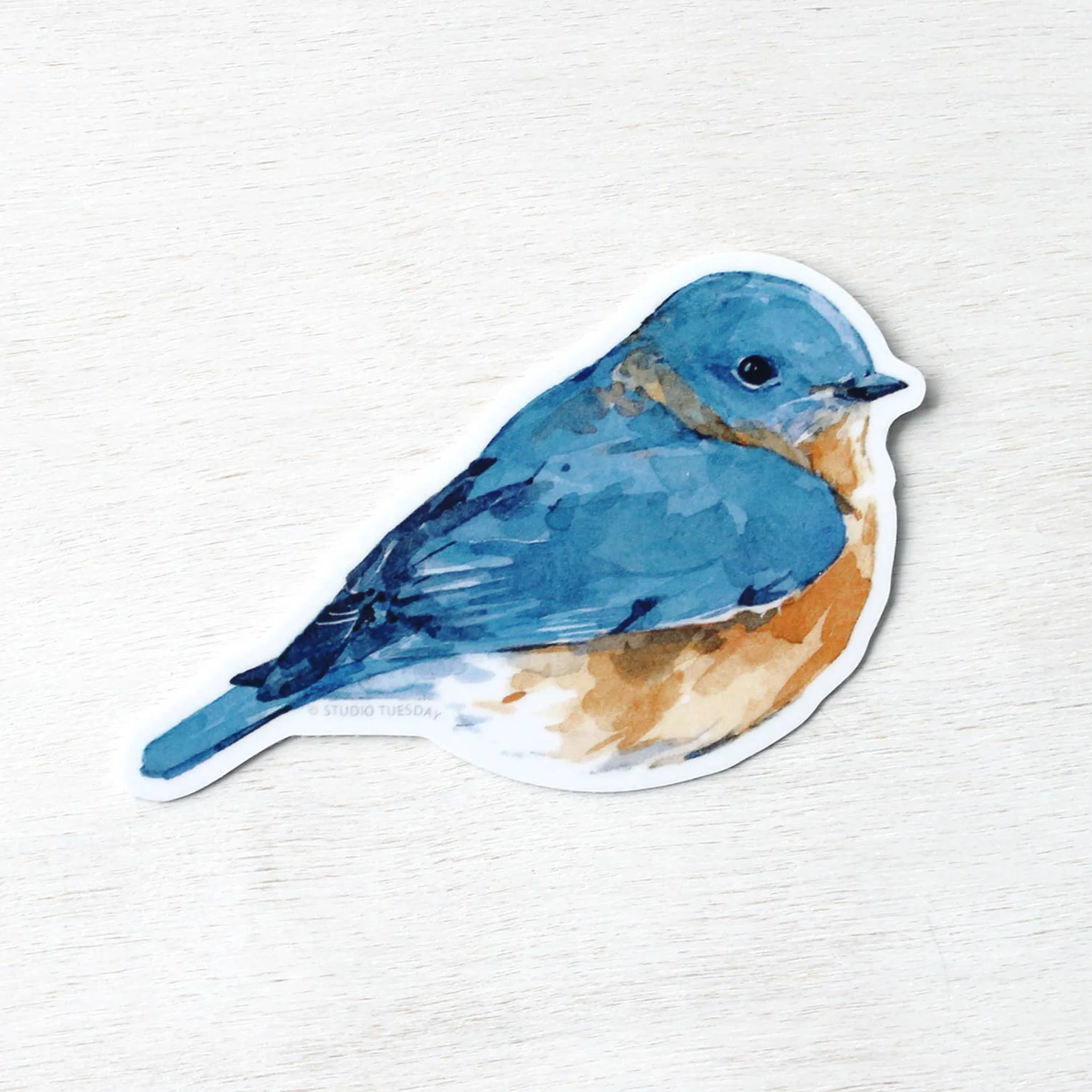 Eastern Bluebird Watercolor Vinyl Sticker - Image 3