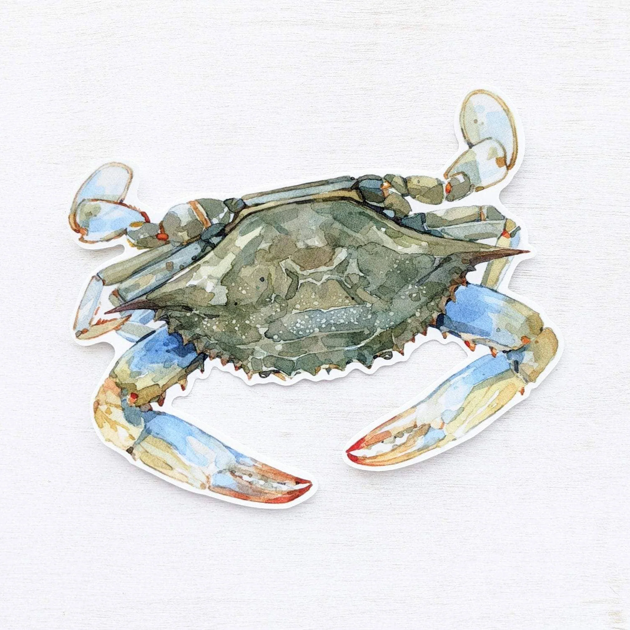 Blue Crab Watercolor Vinyl Sticker - Image 2