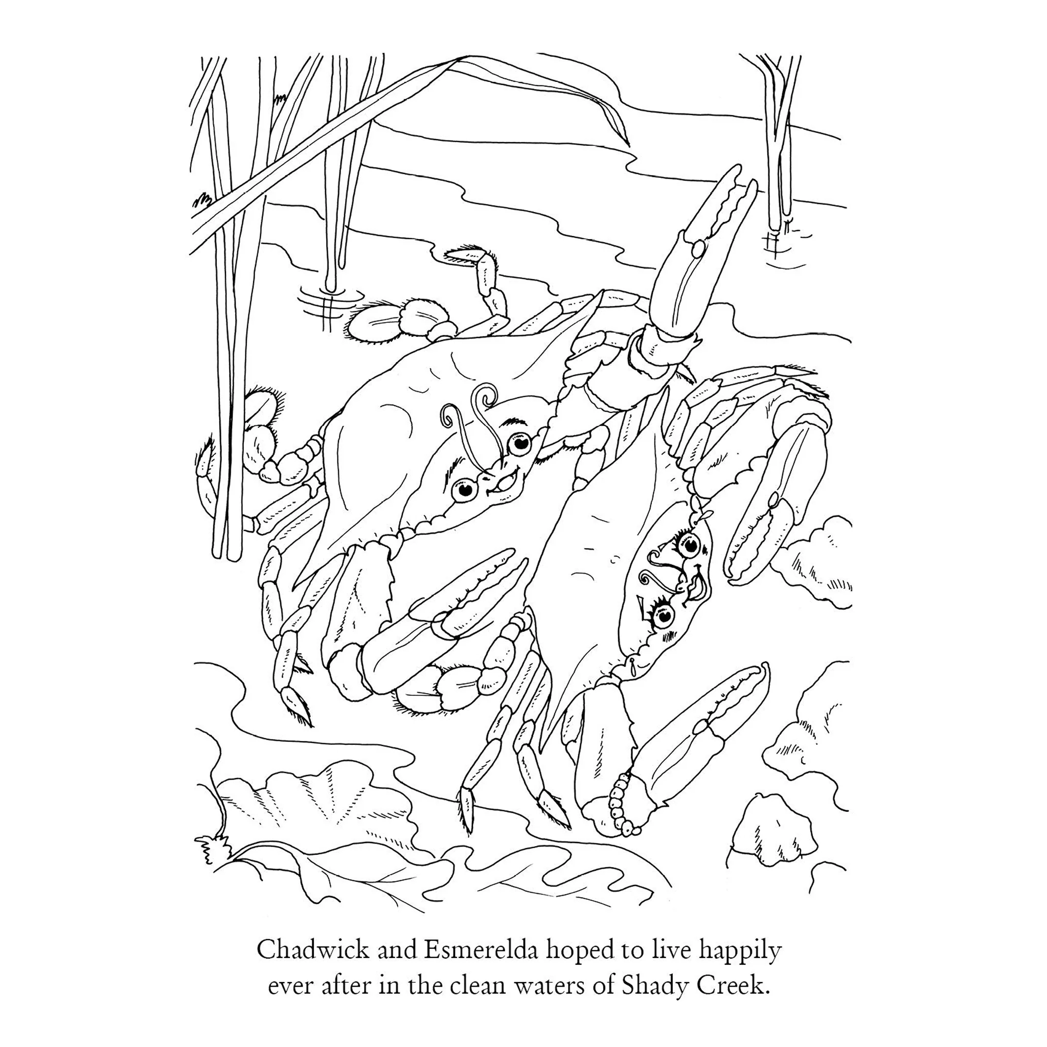 Chadwick the Crab Activity Book - Image 2