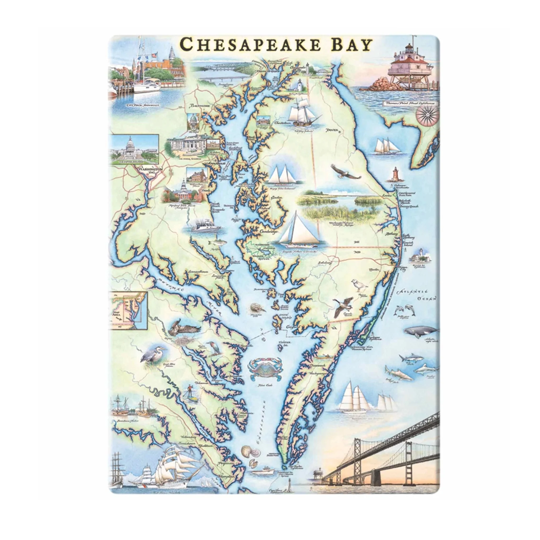 Chesapeake Bay Map Magnet