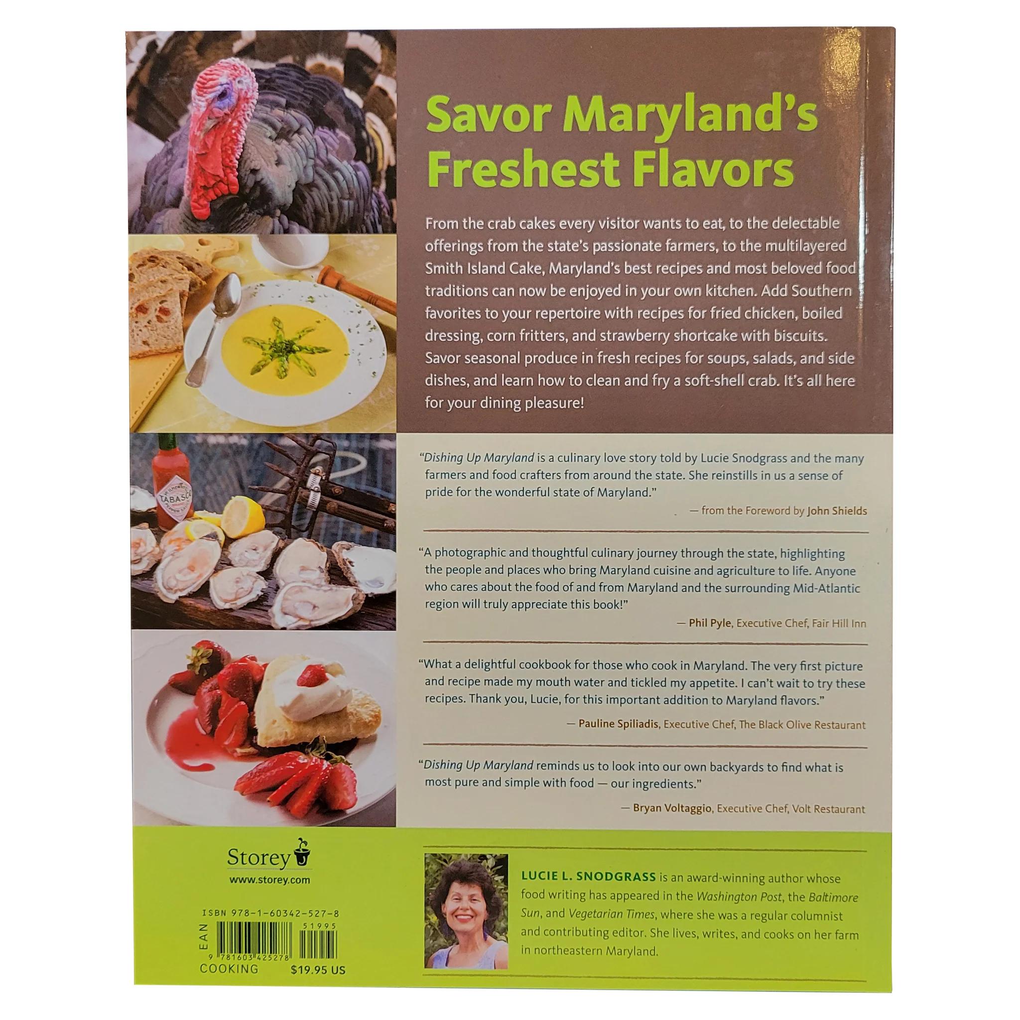 Dishing Up Maryland Cookbook - Image 4