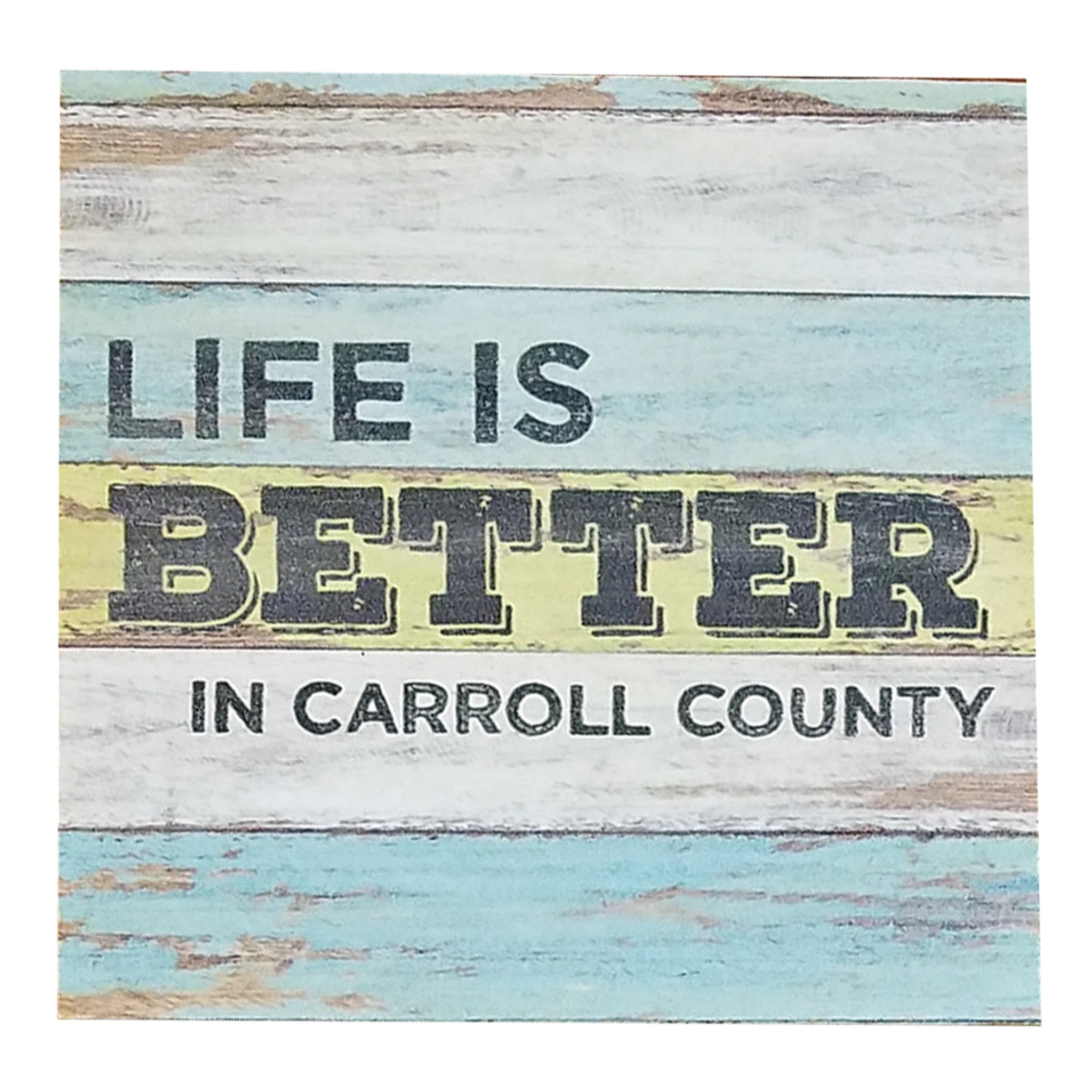 Life Is Better In... Assorted Town Signs - Image 3