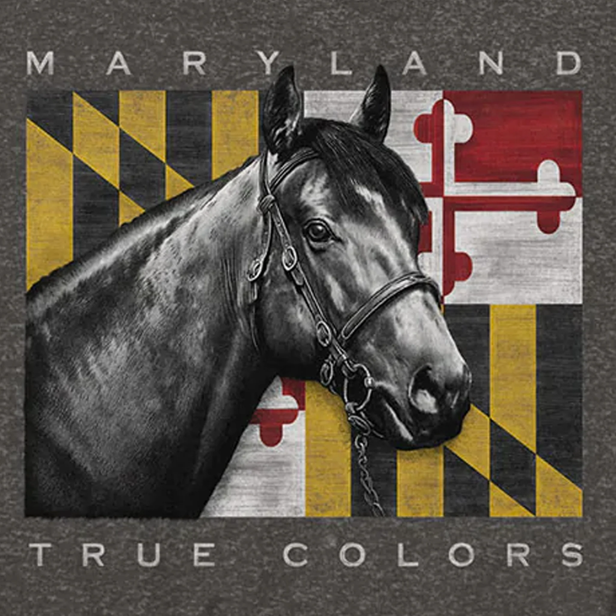 Maryland Flag & Horse True Colors T-Shirt - Image 4