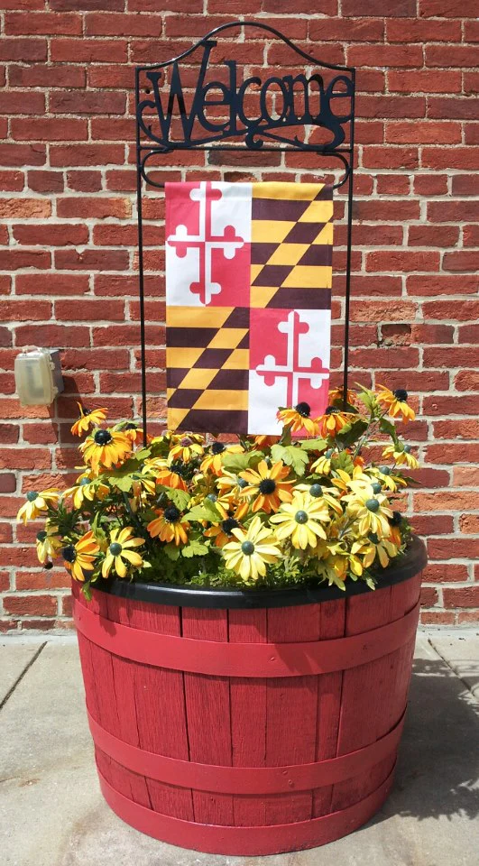 Maryland State Flag (Sleeve) Custom Decor - Image 2
