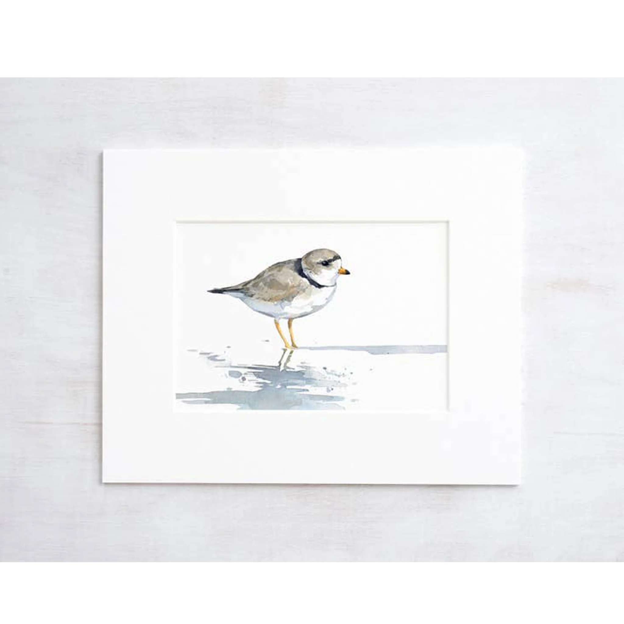 Piping Plover Watercolor Art Print - Matted - Image 2