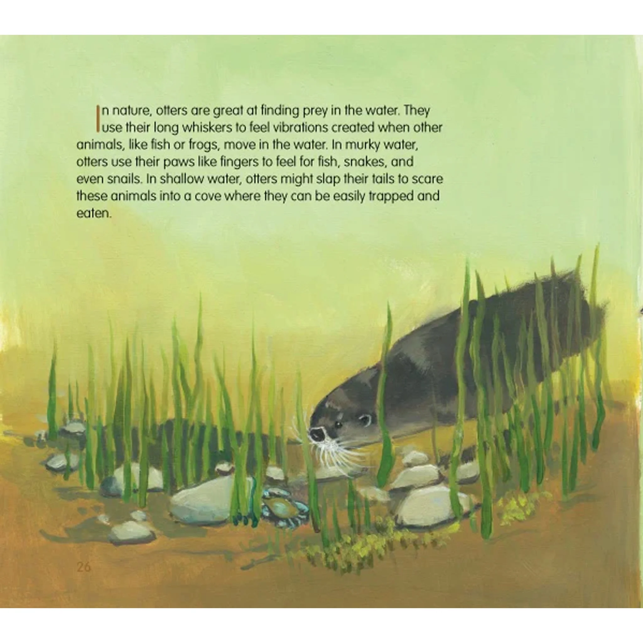Saving Squeak: The Otter Tale Children's Book - Image 4