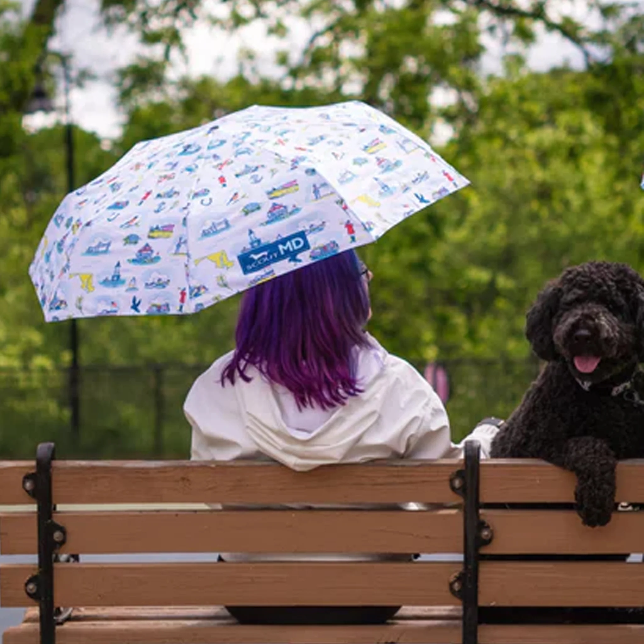 Scout Maryland High and Dry Umbrella - Image 3
